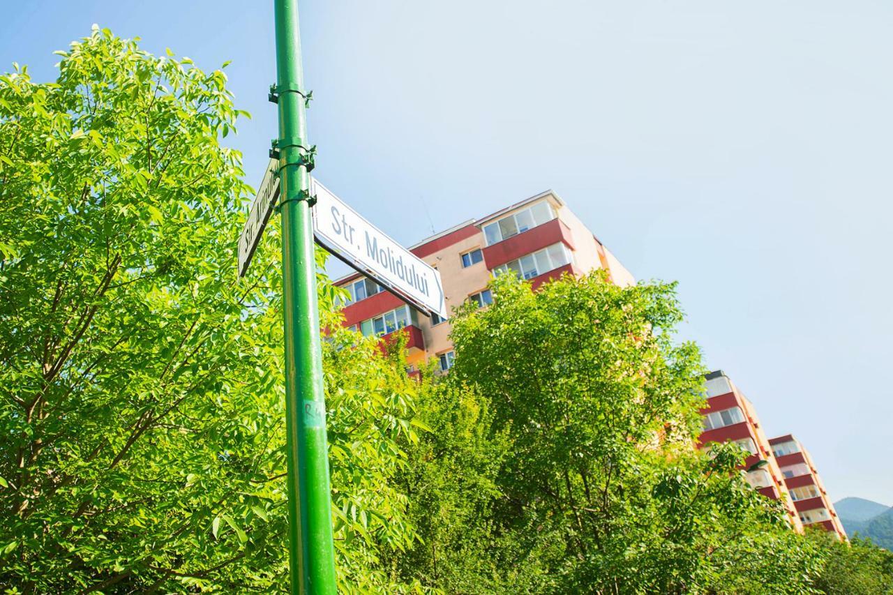 Luna Apartment Brasov Exterior photo